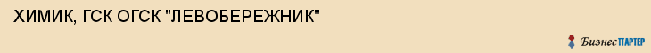 ХИМИК, ГСК ОГСК "ЛЕВОБЕРЕЖНИК", Воронеж