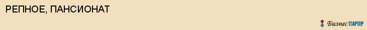 РЕПНОЕ, ПАНСИОНАТ, Воронеж